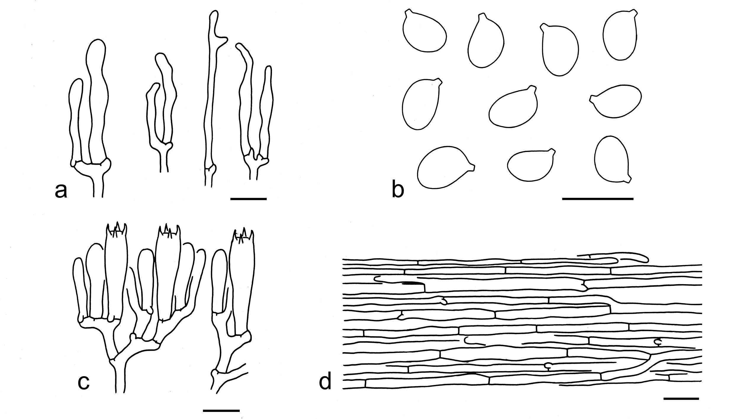 Figure 74